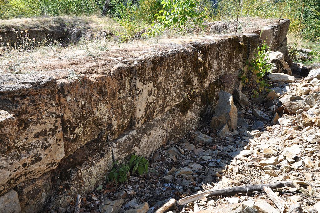 Cetatea Căpâlna1111