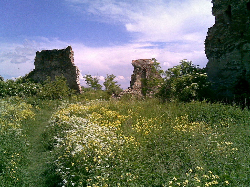 Cetatea Feldioara11