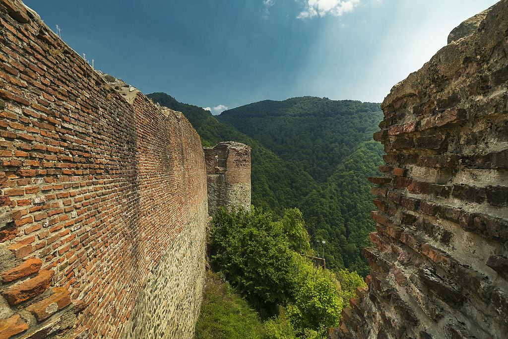Cetatea Poenari1