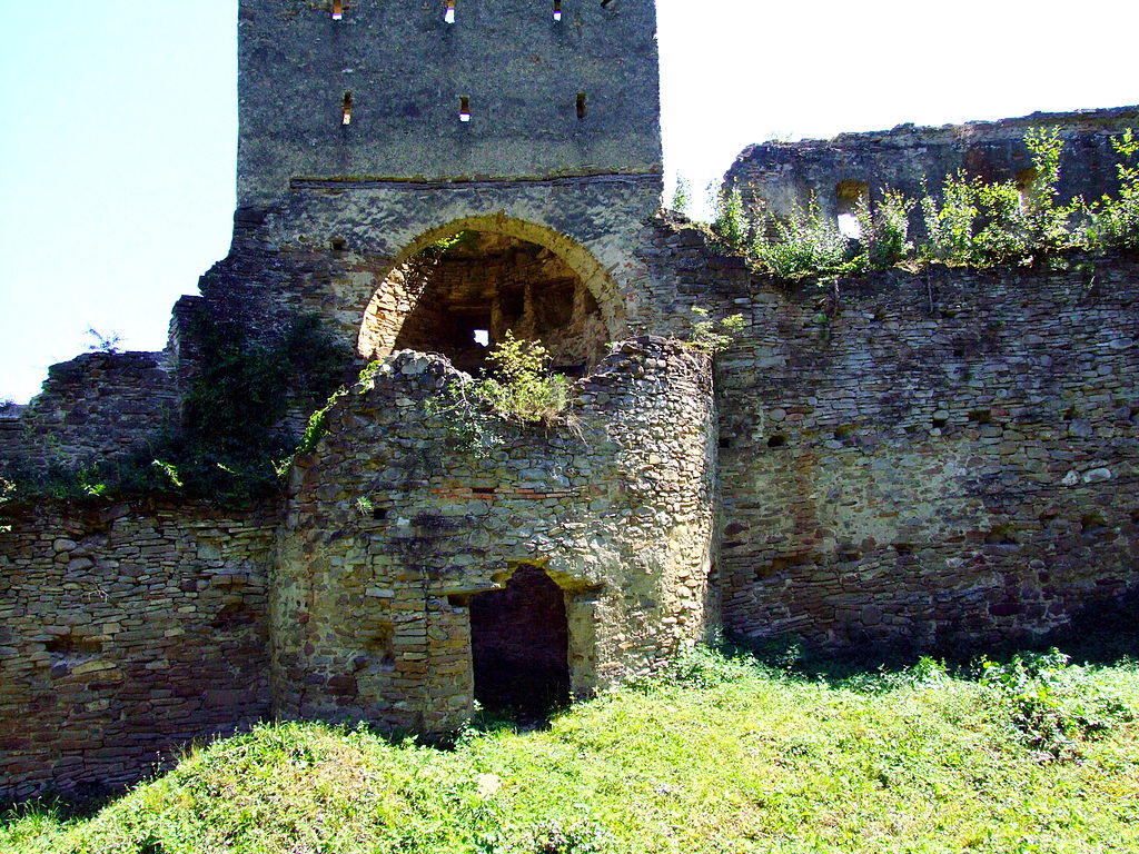 Cetatea Saschiz