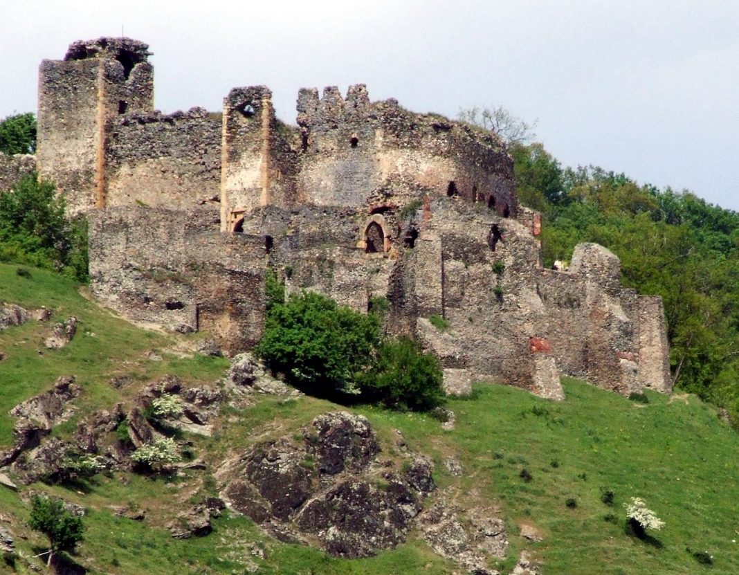 Cetatea Soimo