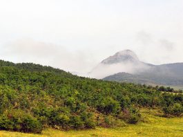 Cetatea dacică de la Piatra Craivii