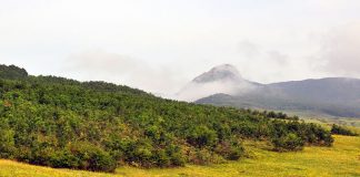 Cetatea dacică de la Piatra Craivii