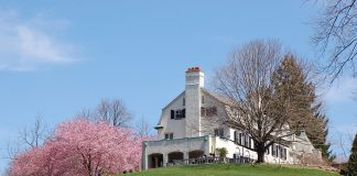 Chanticleer din Wayne