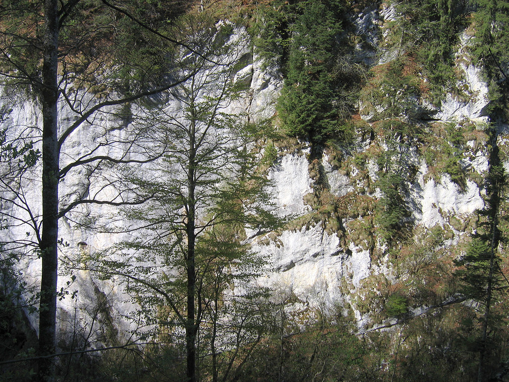 Cheile Galbenei1 Cheile Galbenei1