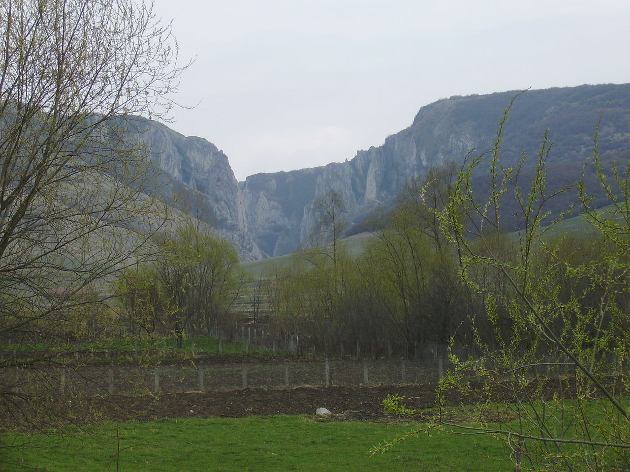 Cheile Turzii12