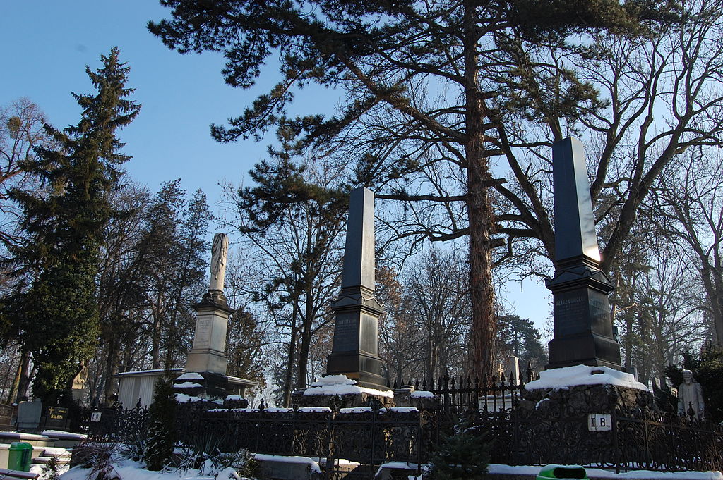Cimitirul Hajongard11
