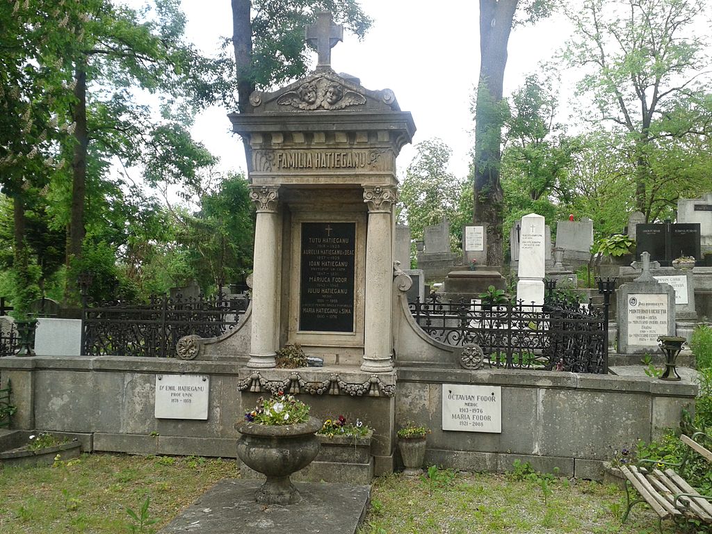 Cimitirul Hajongard111