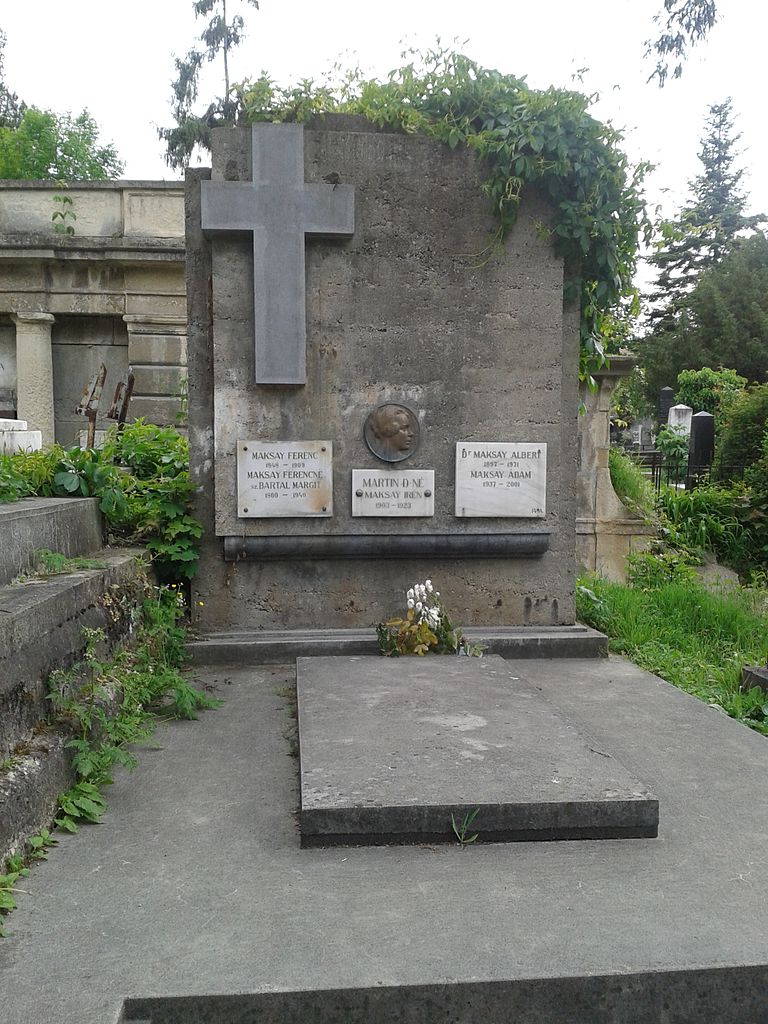 Cimitirul Hajongard1111