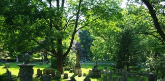 Cimitirul Mount Auburn
