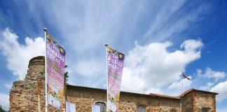 Castelul Colchester: Obiective turistice Anglia – Colchester Colchester Castle