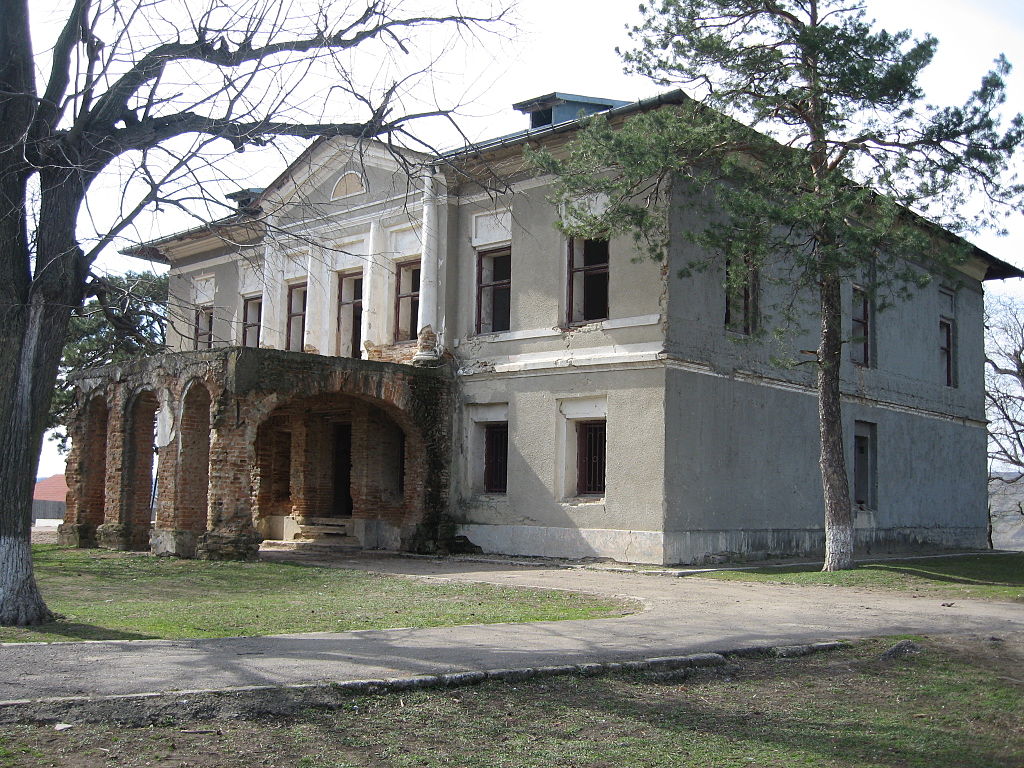 Conacul din Soleşti1