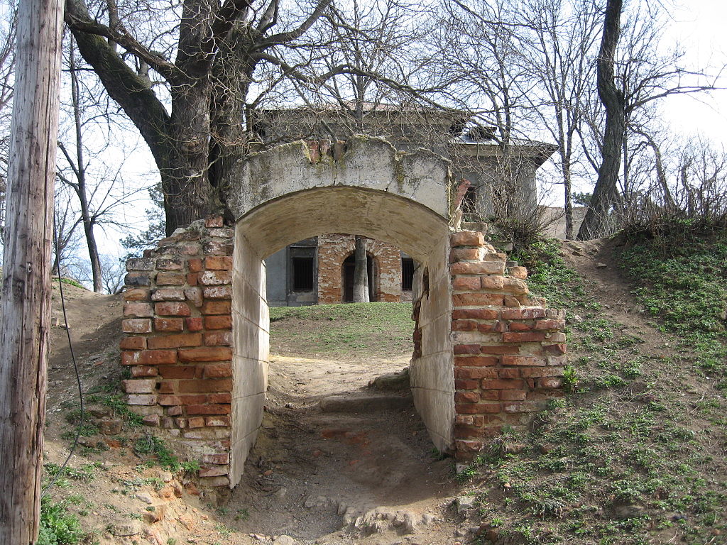 Conacul din Soleşti111