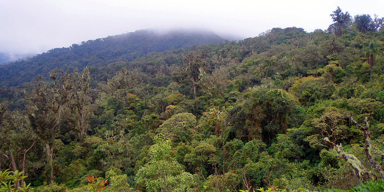 Cotapata National Park