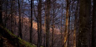 Dragostea mea, Sarmizegetusa Regia!