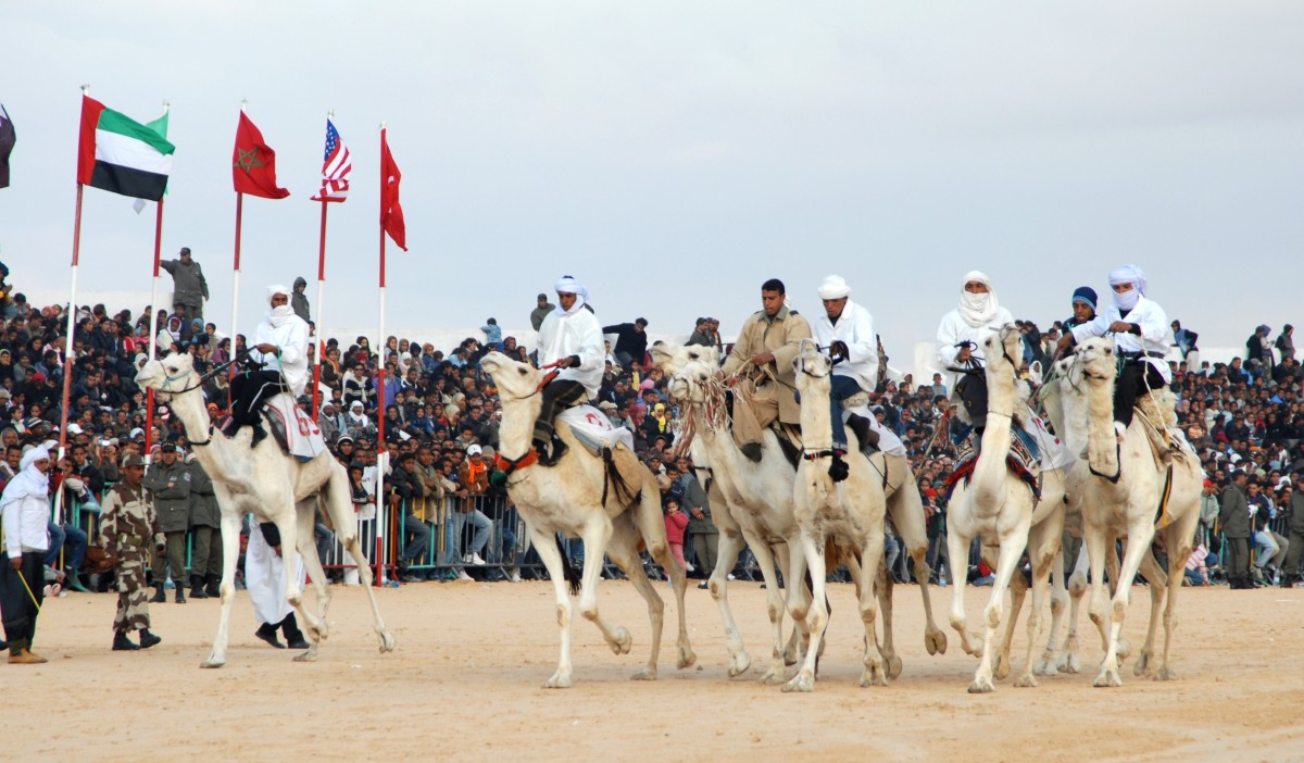 Douz Tunis