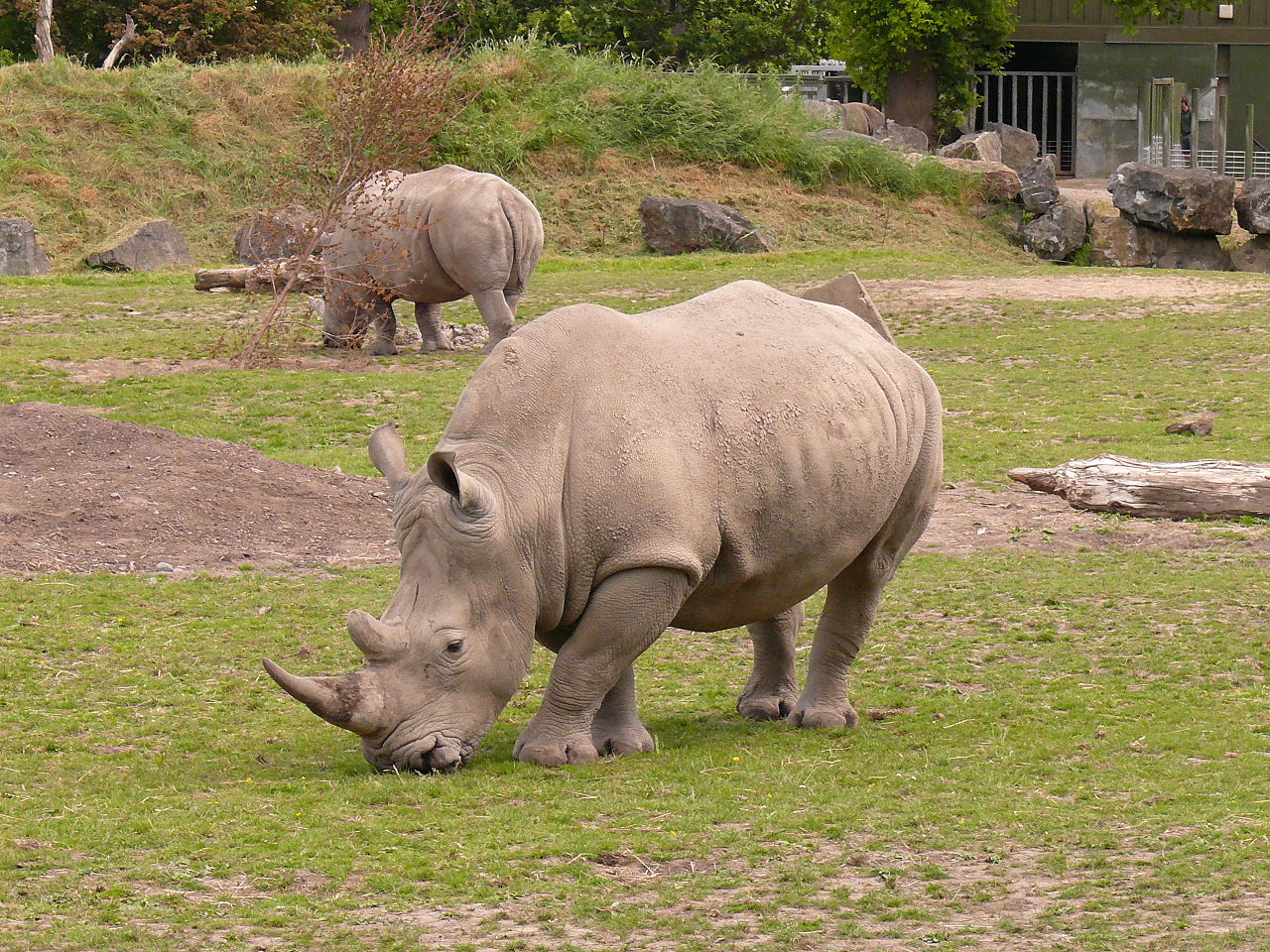 Dublin Zoo111