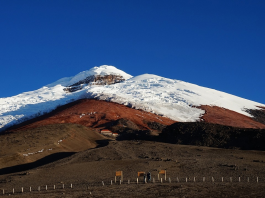 Ecuador