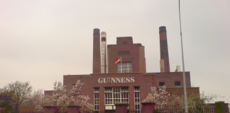 Fabrica de bere Guinness: Obiective turistice Irlanda – Dublin Fabrica de bere Guinness