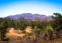 Flinders – Australia: Orașe de vizitat Flinders