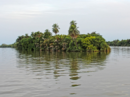 Gambia