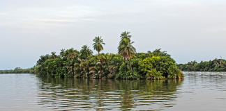 Gambia : Țări de vizitat Gambia