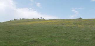 Geoparcul Dinozaurilor „Țara Hațegului”