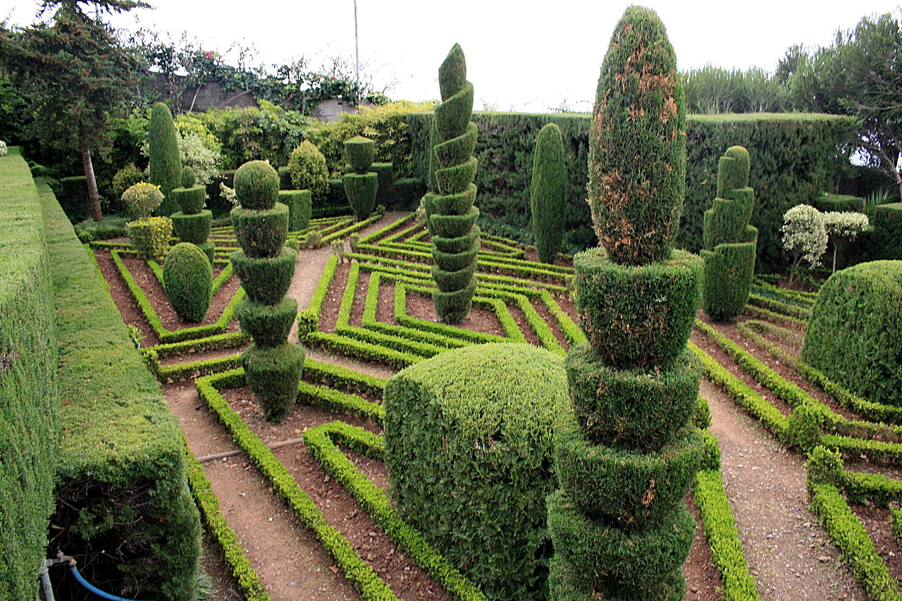 Grădină Botanică