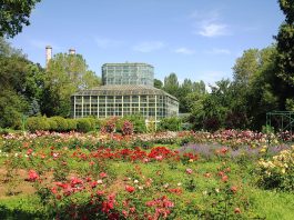 Gradina Botanica Bucuresti