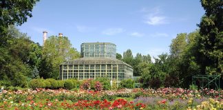 Gradina Botanica Bucuresti