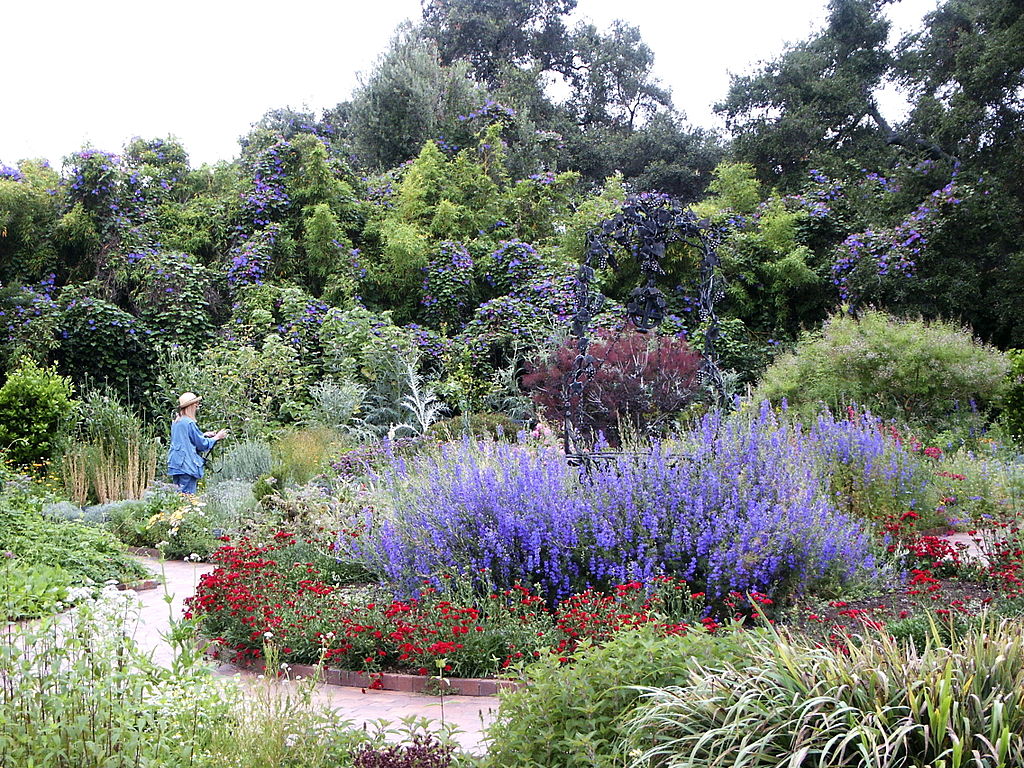 Gradina Botanica Huntington11