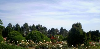 Gradina Botanica Iasi