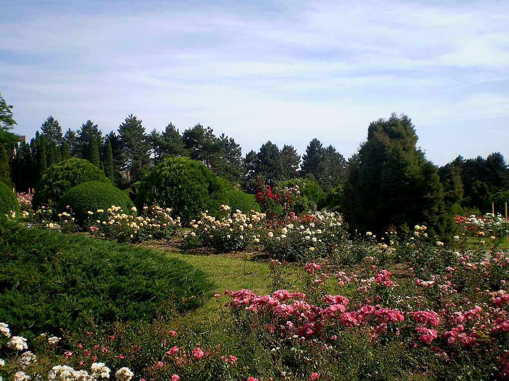 Gradina Botanica Iasi