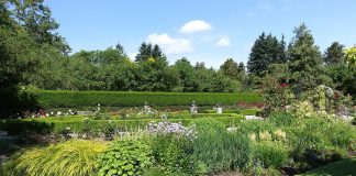 Gradina Botanica Van Dusen