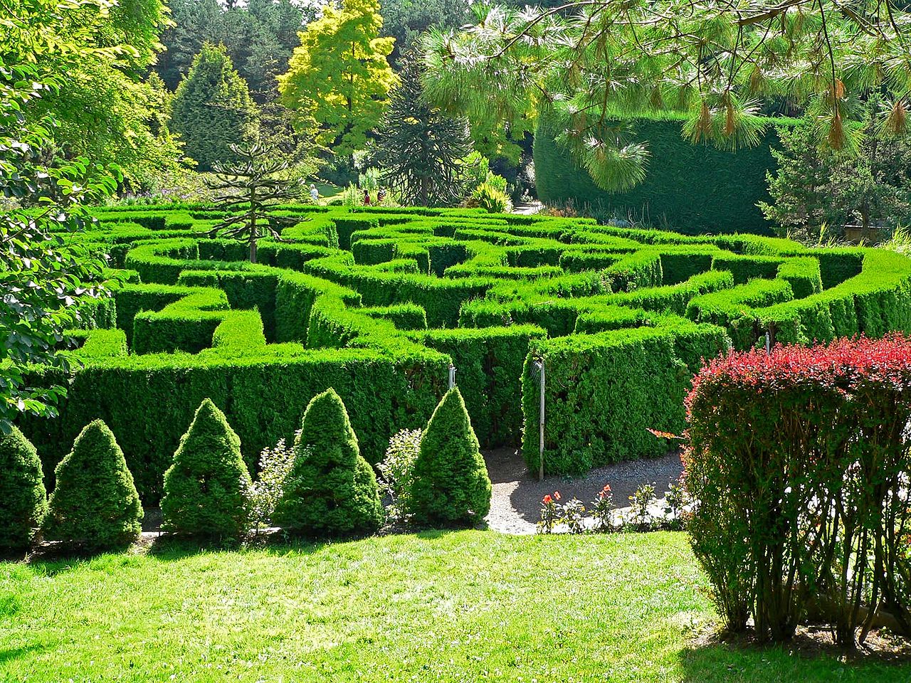 Gradina Botanica Van Dusen1
