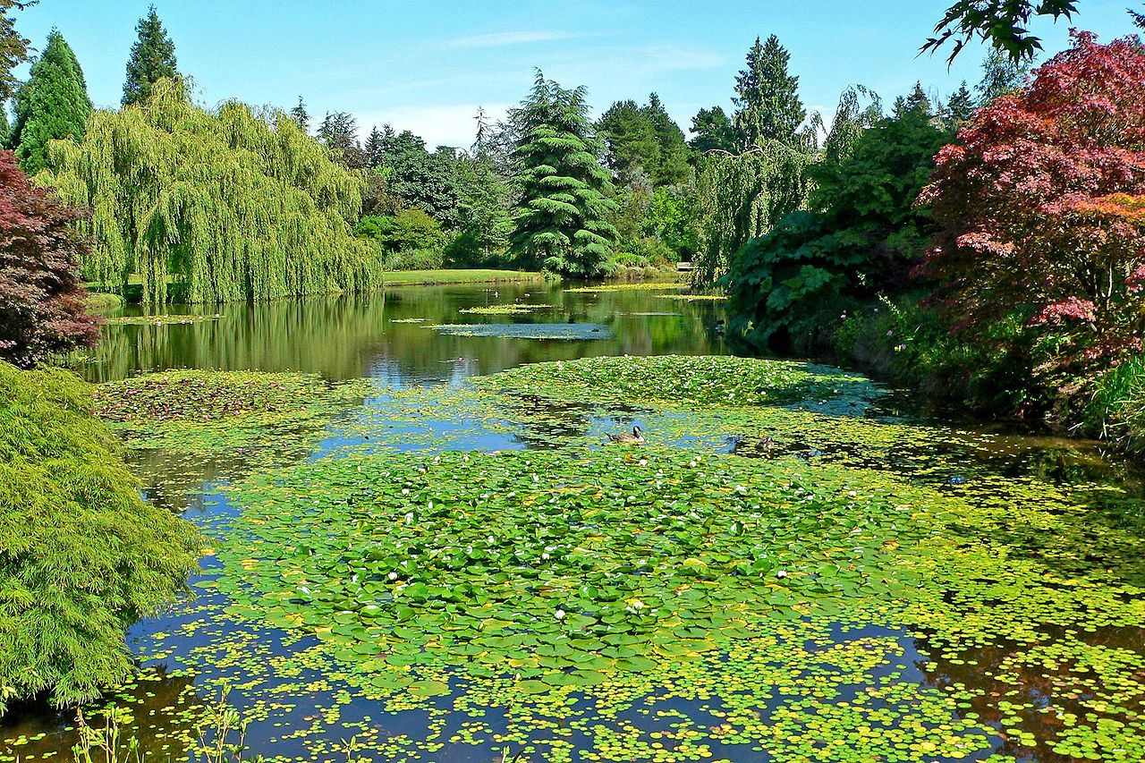 Gradina Botanica Van Dusen11