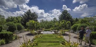 Gradina Botanica din Chicago