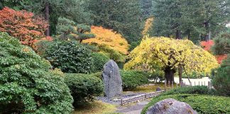 Gradina Japoneza din Portland: Obiective turistice SUA – Portland Gradina Japoneza din Portland