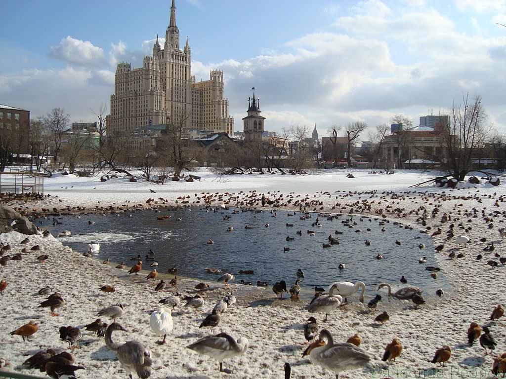 Gradina Zoologica din Moscova11