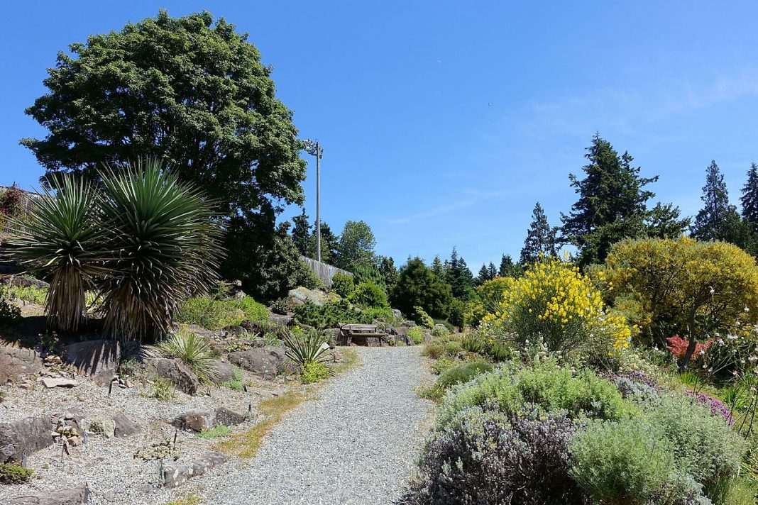 Gradina botanica UBC din Vancouver Gradina botanica UBC din Vancouver