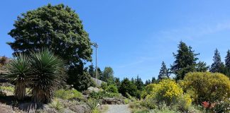 Gradina botanica UBC din Vancouver