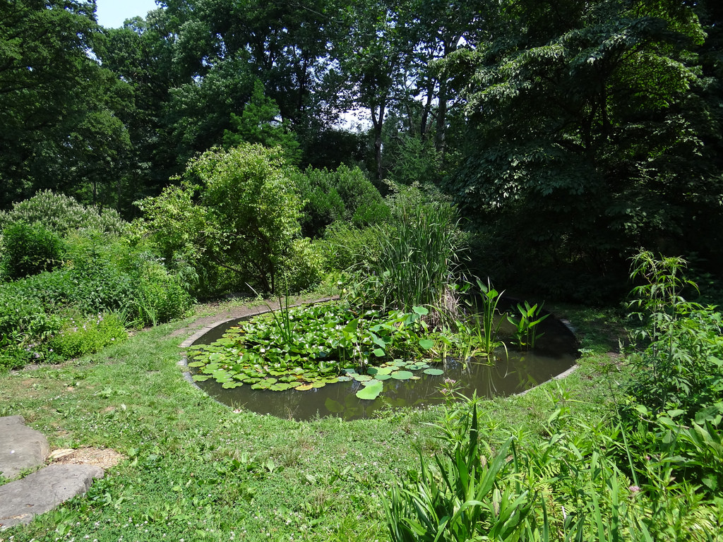 Gradina lui Bartram din Philadelphia1