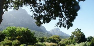 Gradinile Arderne: Obiective turistice Africa de Sud – Cape Town Gradinile Arderne