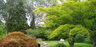 Gradinile Blithewold: Obiective turistice SUA – Rhode Island Gradinile Blithewold