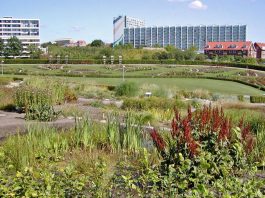 Gradinile Botanice Aarhus