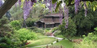 Grădinile Botanice Huntington – o oază de artă și natură în San Marino Gradinile Botanice Huntington