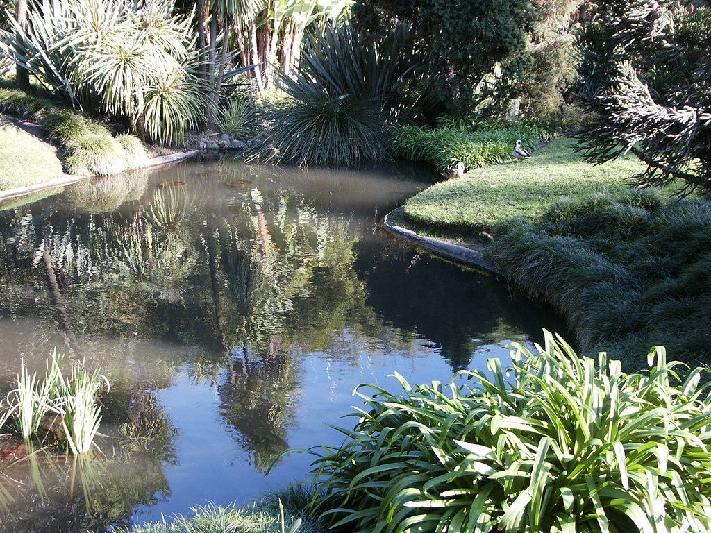 Gradinile Botanice Huntington Gradina Junglei
