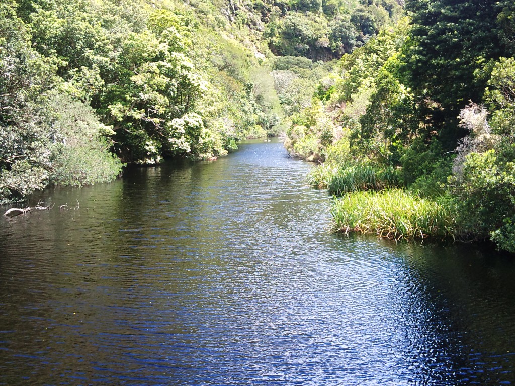 Gradinile Botanice Nationale Harold Porter1