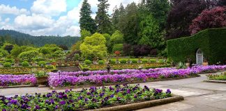 Grădinile Butchart – o oază de frumusețe pe Insula Vancouver Gradinile Butchart