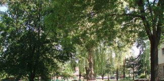 Gradinile Edwards: Obiective turistice Canada – Toronto Gradinile Edwards